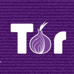 جاسوسی  از رله های خروجی Tor از فعالیت های کاربران دارک وب